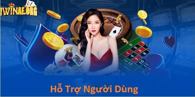 Hỗ trợ người dùng